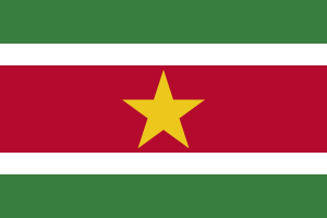 Logo de l'équipe Suriname